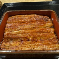 うなぎ 目白ぞろ芽 - 