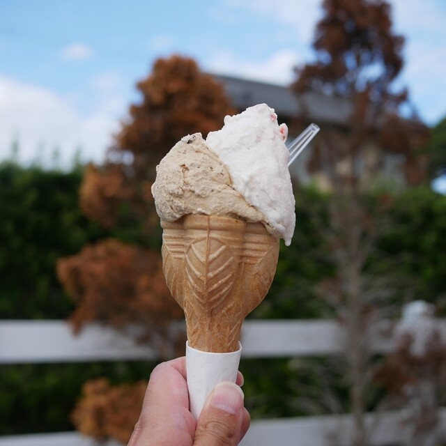 ホーム オブ マザーズ （HOME OF MOTHERS） - 干潟/ジェラート・アイス