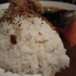 Spice Bar TARA - ターラカレー アップ