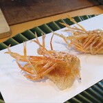 天風楽・ブランド松葉蟹 松屋町 青天 - 