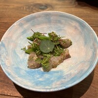 セルサルサーレ - 