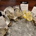 THE CAVE DE OYSTER - 