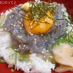 釣船の家 海蓮丸 - 生しらす丼
