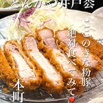 Tonkatsu Idomatsu - 