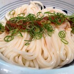 江戸堀 木田 讃岐うどん - 生醤油うどん大盛り