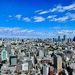 221609187 - 39階からの眺め✩.*˚