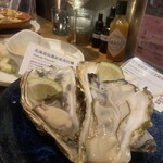 VIGO OYSTERBAR - 