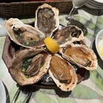 Oyster Bar ジャックポット - 