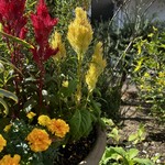 大分香りの博物館 カフェ サ・サンボン - 