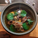 Seminare 輕井澤 - ユキノシタがきれい