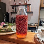 Seminare Karuizawa - 这就是五味子