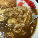 本家絶品！ 煮込みカツカレーの店 - カレーとチーズ