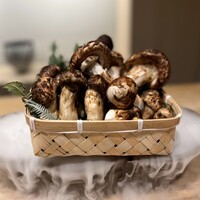 日本料理 みや  - 