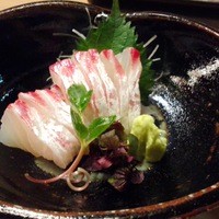 割烹 白鷹 - 鯛刺し