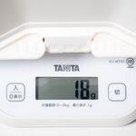 肉波 - 豚焼肉弁当（秘伝のタレ・大盛）容器のみ重量