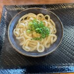 こがね製麺所 - 料理写真:かまかけ 小