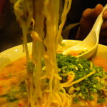 千熊ラーメン - 麺は少し縮れた玉子麺。　カタメンがベストか。。。。