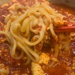 Ganso Nyu Tantanmen Honpo - 