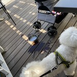 エッグスンシングス 湘南江の島店 - 