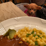 Restaurant Hamy's Karuizawa - くるみ