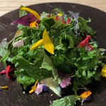 アグリスケープ - 