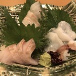 Sushiya Akabee - 刺身三種盛り。