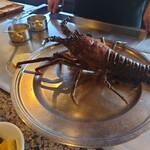 鉄板焼ステーキ 一ッ葉ミヤチク - 2023年9月 伊勢エビ