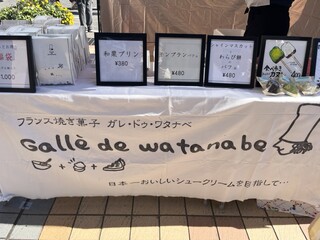 h Galle de watanabe - 