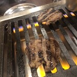 ホルモンハジメ - 