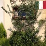 イオラシック - 