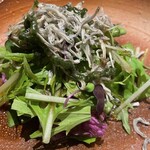 わたべ - じゃこと水菜のサラダ