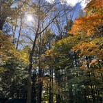 ラウンド アバウト カフェ - 