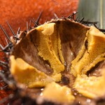 ラボラトリー - 殻付き活海胆