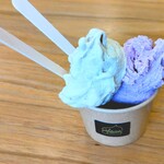 苫小牧ジェラート専門店 Filicia - よいとまけ＆カッサータ