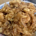 Tempura Tenshige - 