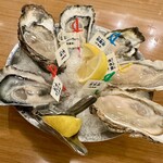 Oyster Bar ジャックポット - 