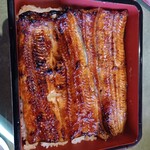 Unagi Fujita - 