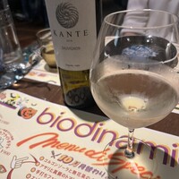 biodinamico - 