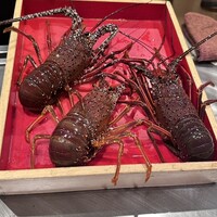 鉄板焼 しろや 銀座亭 - 