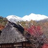 そば割烹 縁結び - 