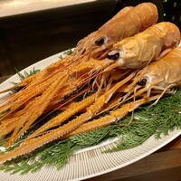 スガラボヴィー - 