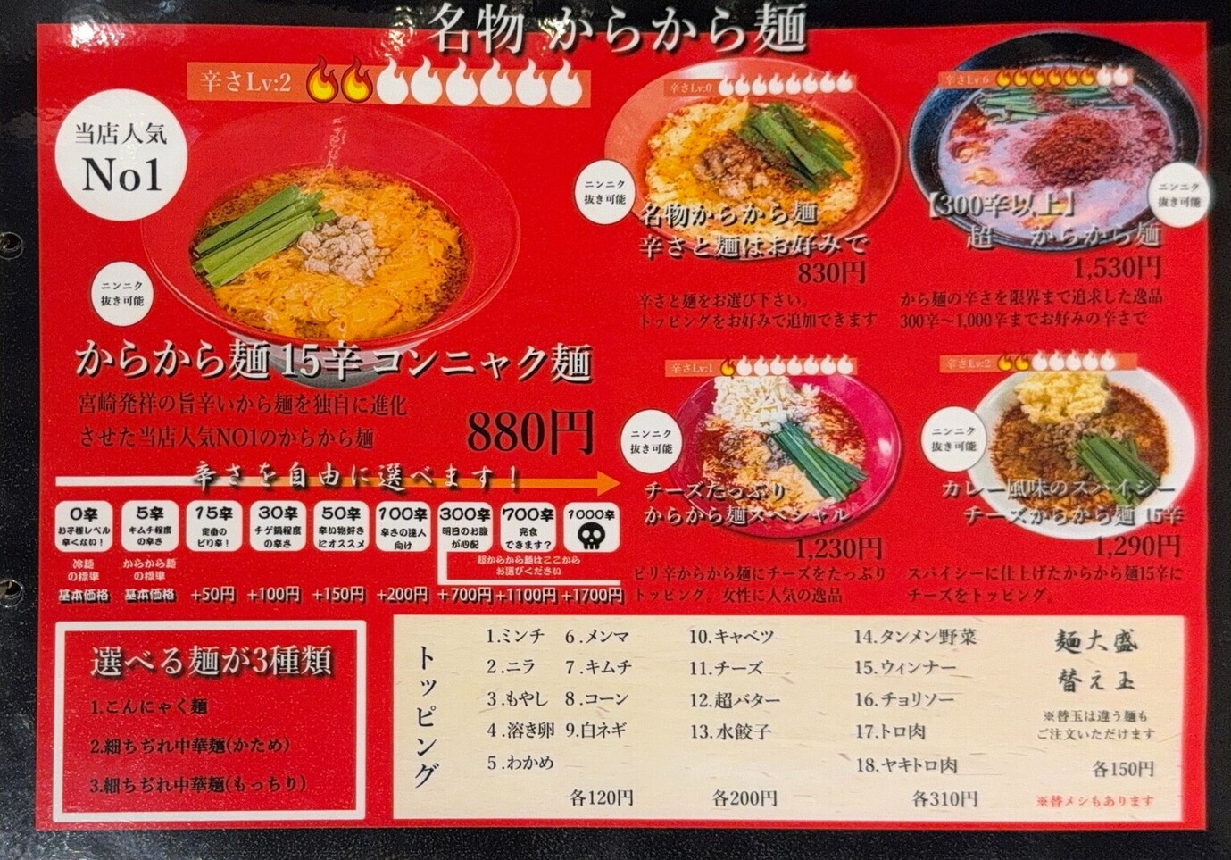 活動歴および当時の関連ビジュアル記録