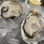 Oyster Plates - 