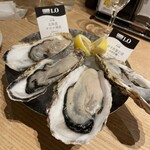 Oyster Plates - 