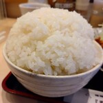 嬉嬉豚とんかつ 「君に、揚げる。」 - 