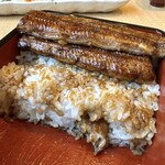 うな正 - 極上うな重　1尾半　ご飯の下にもうなぎ発見！