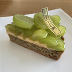 アロー ツリー - 