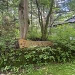 エルミタージュ ドゥ タムラ - 