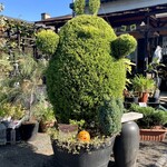 Ramen FeeL - 花屋のトトロ