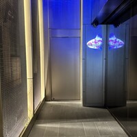 PONGA PREMIUM - 